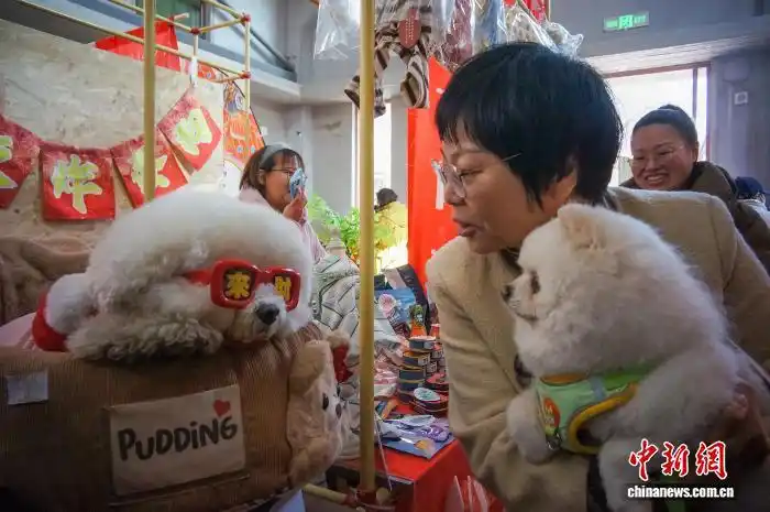 В Тяньцзине прошел фестиваль новогодних товаров для домашних животных