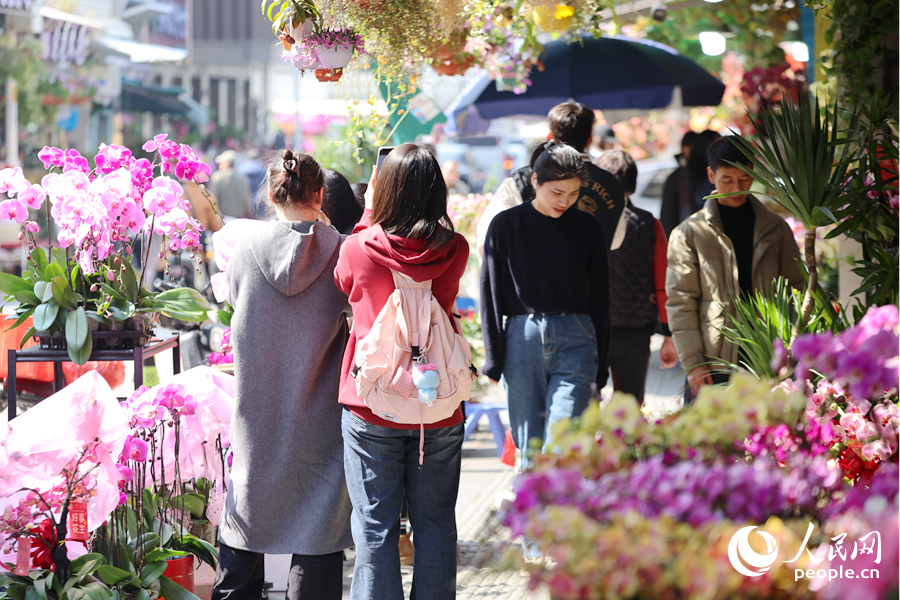 Новогодний бум на цветочном рынке Сямэня