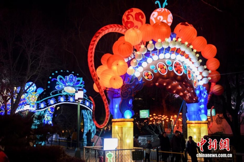 В районе источника Баоту в Шаньдуне зажглись новогодние фонари