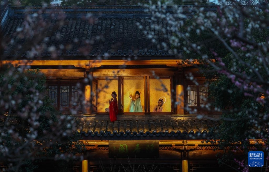 Ханчжоу открывает сезон уникальных ночных экскурсий по цветущим сливовым садам