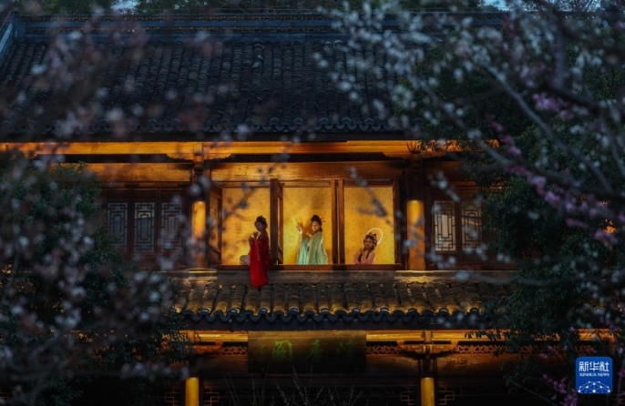 Ханчжоу открывает сезон уникальных ночных экскурсий по цветущим сливовым садам