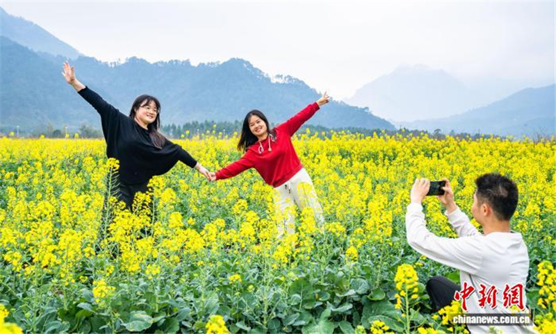 Рапсовые поля в Гуанси привлекают туристов ранней весной