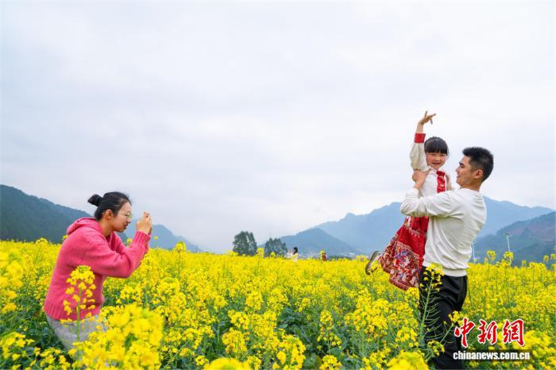 Рапсовые поля в Гуанси привлекают туристов ранней весной