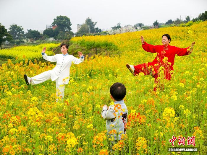 В уезде Хэцзян рапсовые поля встречают весну
