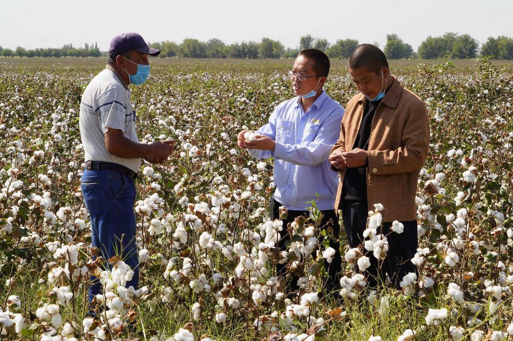 Сверхкрупный рынок Китая открывает новые возможности для ЦА
