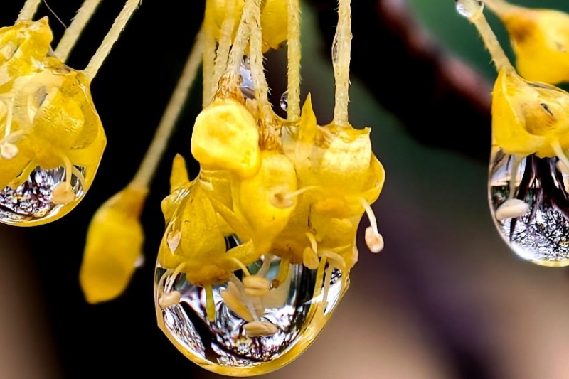 Весенний пейзаж после дождя