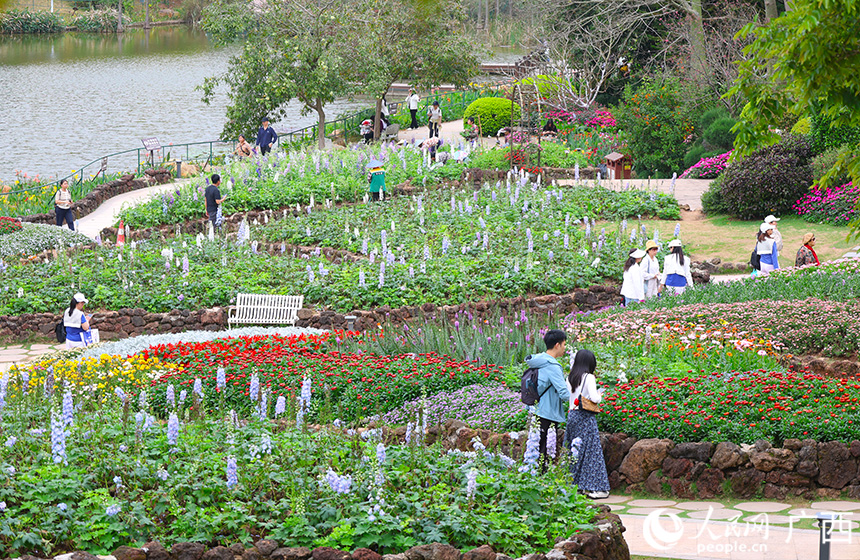 Наньнин в цвету: весна открывает свою красочную страницу