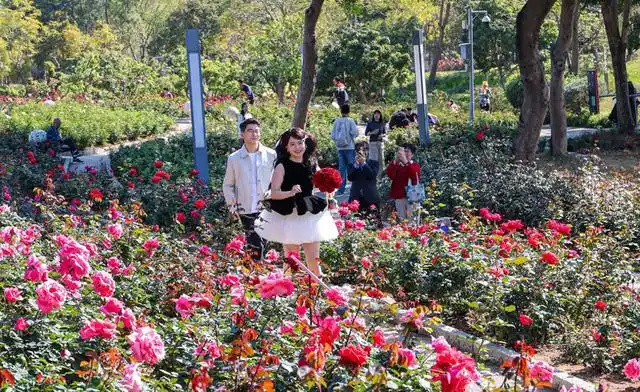 В Китае открыто уже 525 пунктов регистрации брака в парках