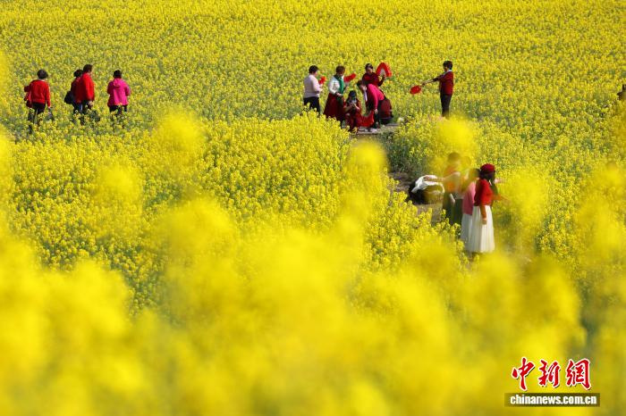Мчащиеся сквозь рапсовое поле «поезда весны» в Чэнду