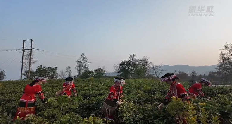 Как «помощь через развитие» меняет мир: значение опыта Китая в борьбе с бедностью