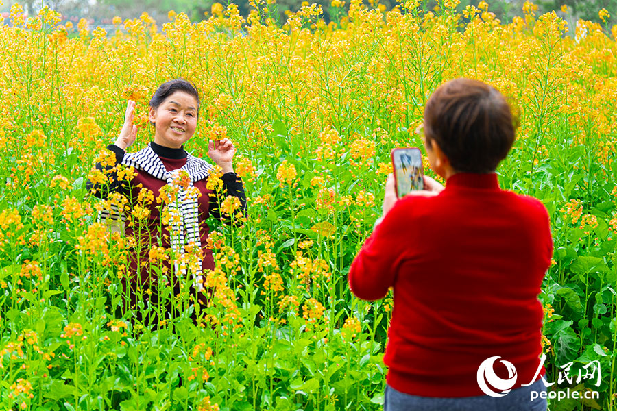 В Фучжоу наступил сезон цветения