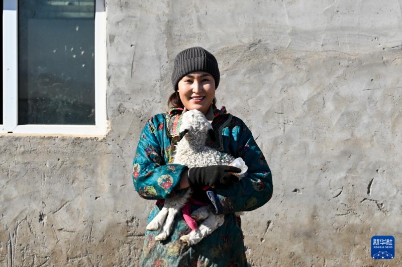 Степная радость: во Внутренней Монголии начался период весеннего ягнения