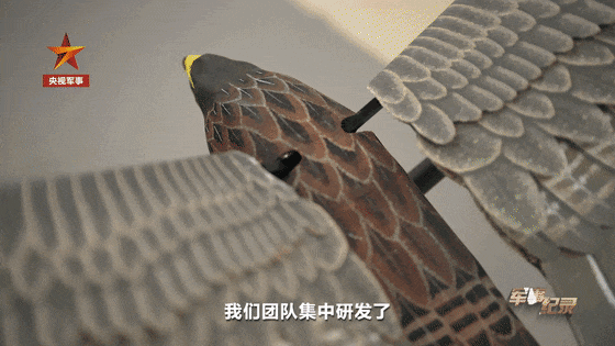 Китай разработал дроны с бионическими крыльями