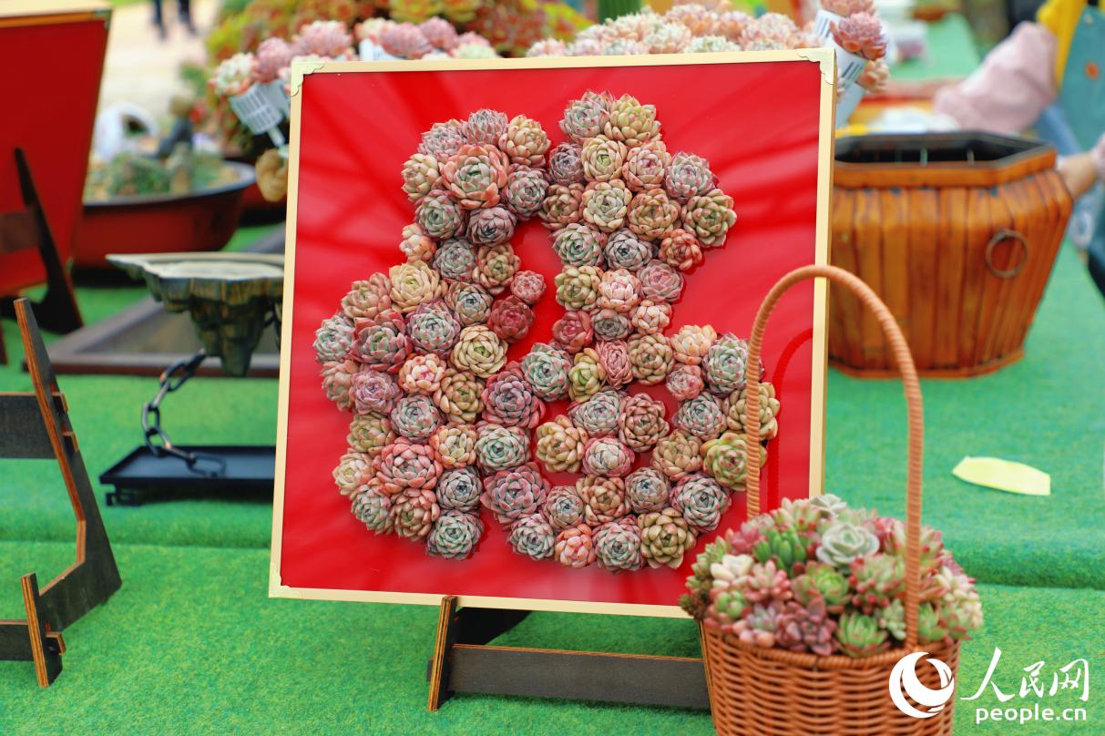 Горная экология китайского Чжоунина стала основой развития цветочного бизнеса