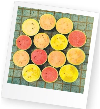 Арбузы круглый год: секрет изобилия в Китае