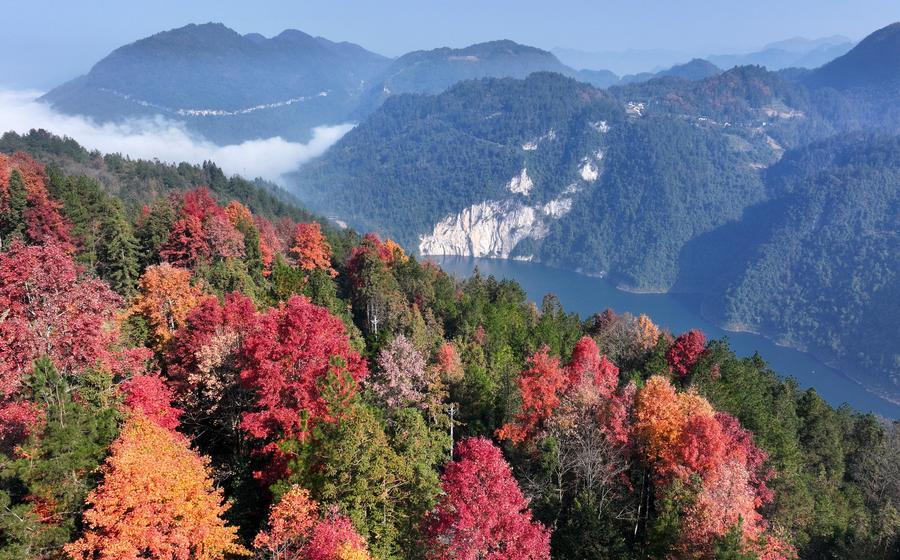 Китай отмечает устойчивый прогресс в озеленении