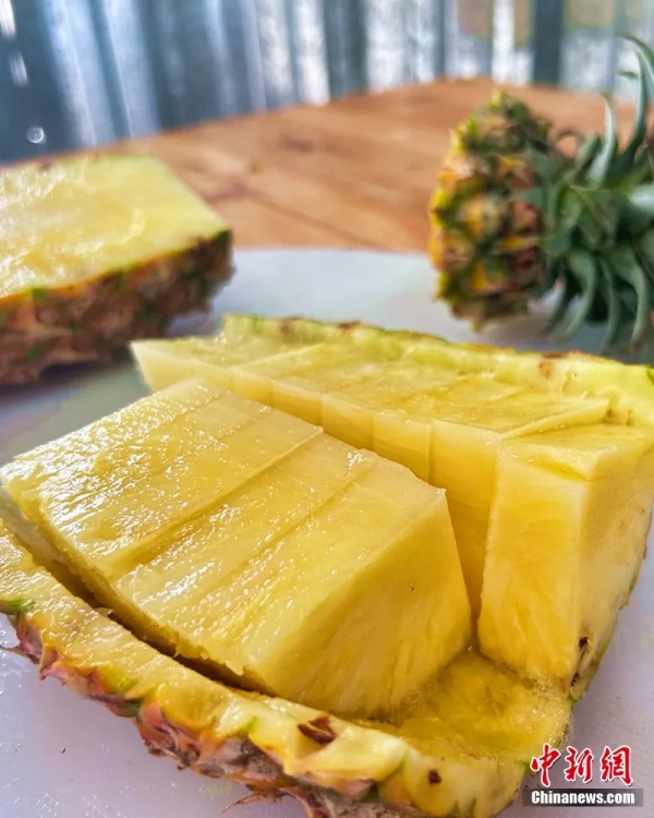 На Хайнане небольшой поселок создал настоящую «ананасовую империю»