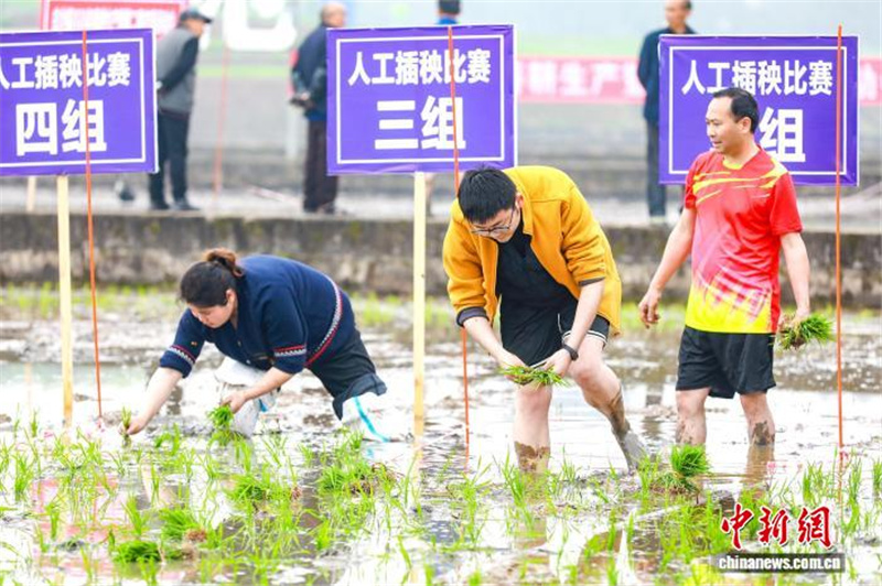 В Сычуани сельские спортивные игры открыли сезон весенних полевых работ