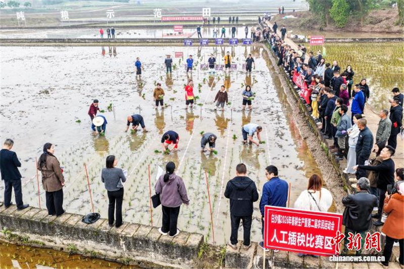 В Сычуани сельские спортивные игры открыли сезон весенних полевых работ
