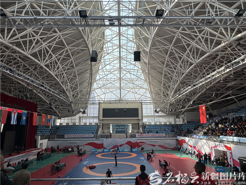 В Синьцзяне стартовал международный турнир по вольной борьбе с участием спортсменов из семи стран