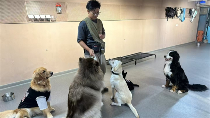 В Шанхае открыты «детские сады» для собак