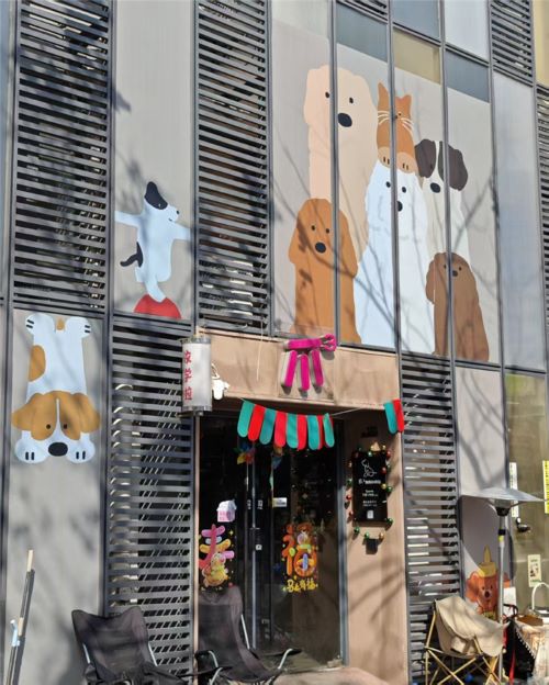 В Шанхае открыты «детские сады» для собак