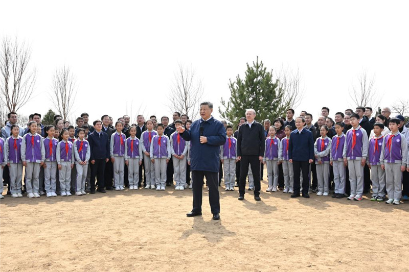 Си Цзиньпин призвал мобилизовать все общество для активного участия в лесонасаждении