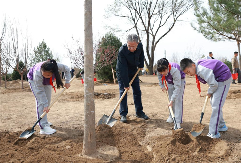 Си Цзиньпин призвал мобилизовать все общество для активного участия в лесонасаждении