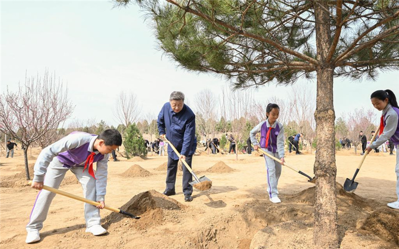 Си Цзиньпин призвал мобилизовать все общество для активного участия в лесонасаждении