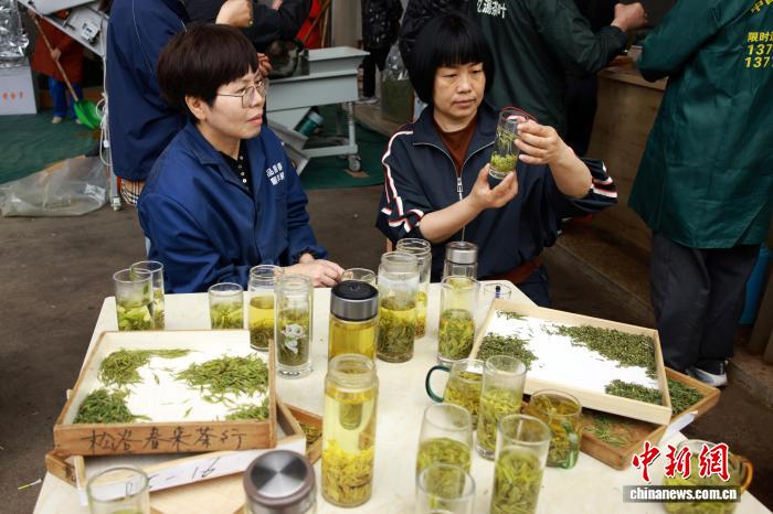 На крупнейшем в Китае рынке зелёного чая начался сезон весенней торговли