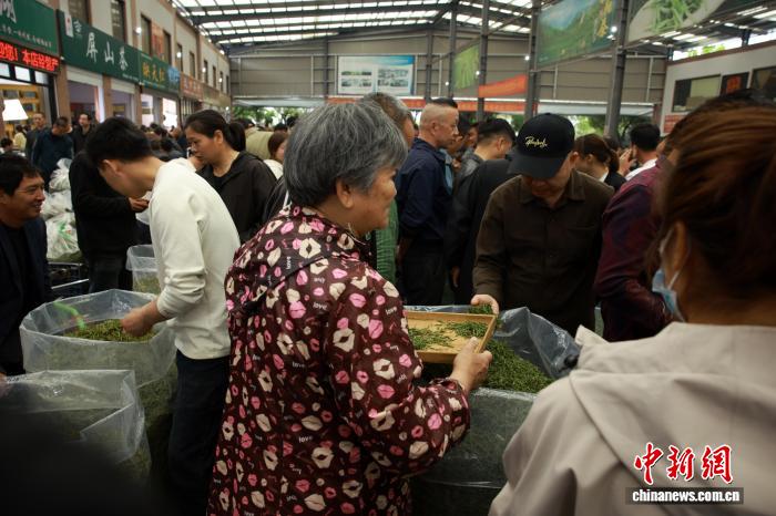 На крупнейшем в Китае рынке зелёного чая начался сезон весенней торговли