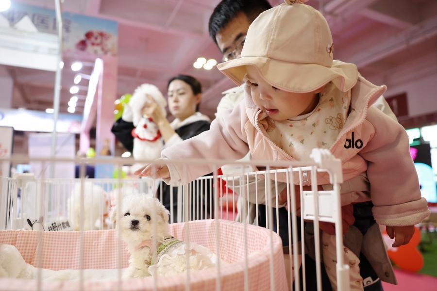 ИИ проникает во всю производственную цепочку экономики домашних животных в Китае