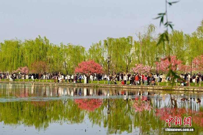 Весенний пейзаж озера Сиху очаровывает посетителей