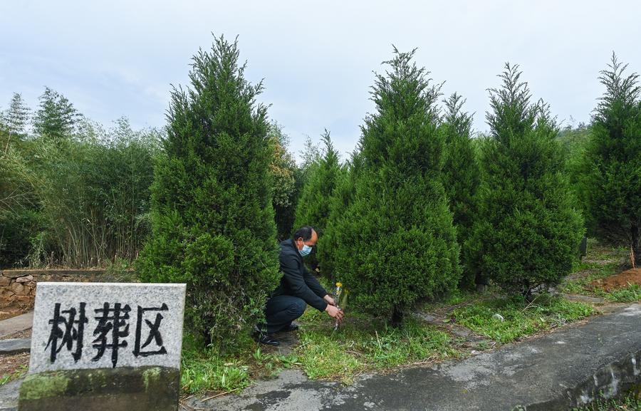 Экологичные способы погребения усопших постепенно укореняются в Китае