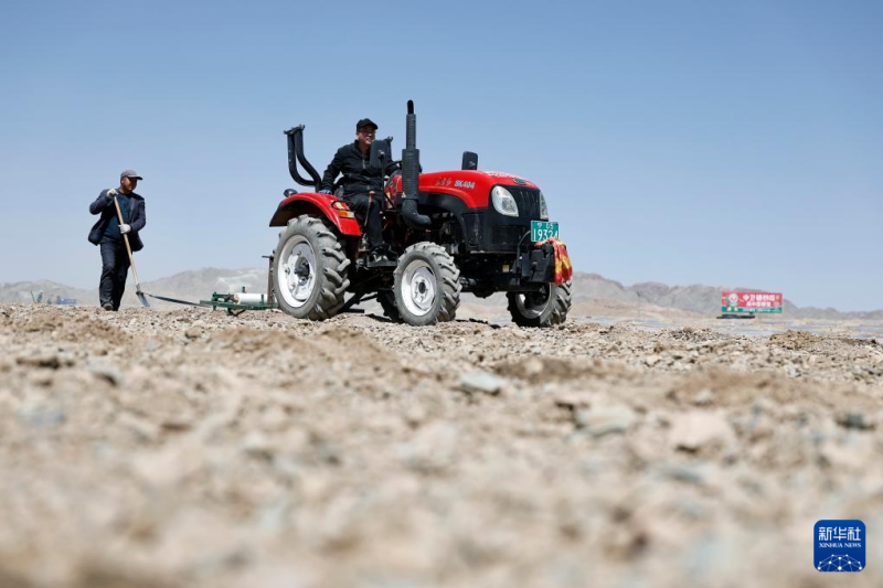 В Гоби начался посев селеновых арбузов