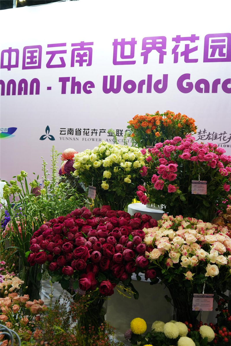 Цветы из Юньнани представлены на международной выставке в Казахстане