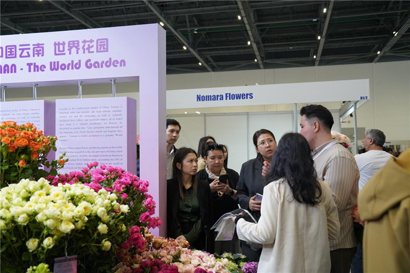 Цветы из Юньнани представлены на международной выставке в Казахстане