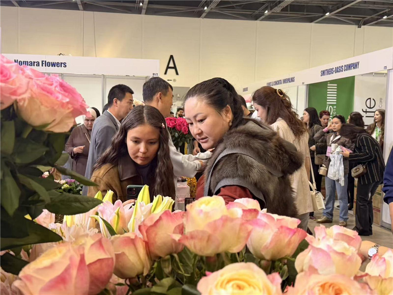 Цветы из Юньнани представлены на международной выставке в Казахстане