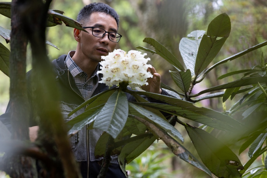 Фото: Синьхуа