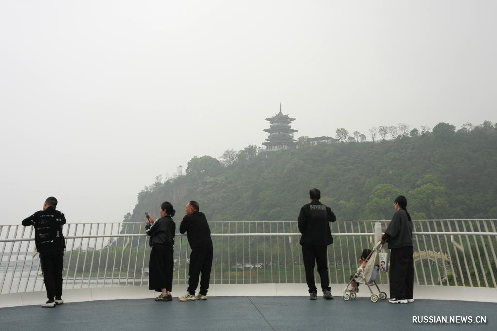 15-я Китайская международная садоводческая выставка открылась в городе Вэньчжоу на востоке Китая
