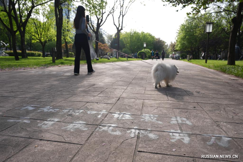 В городе Сиань планируется сформировать культурный бренд "столица танской поэзии"