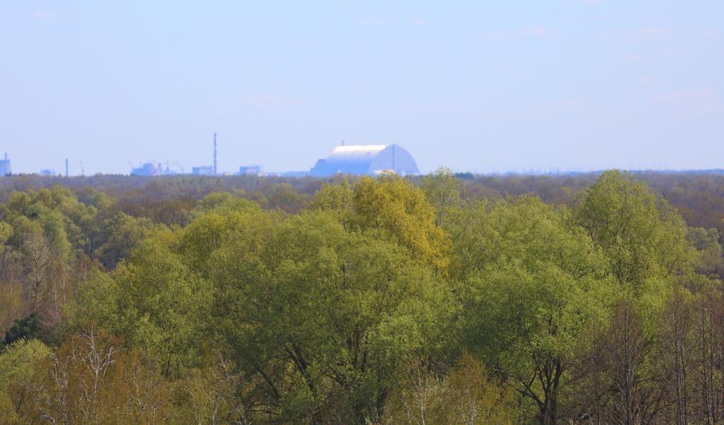 40 лет после аварии на Чернобыльской АЭС -- возрождение зон радиоактивного загрязнения Беларуси