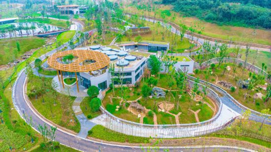 Китай открыл пятую базу больших панд в стране